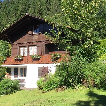 Ferienwohnung Betula Bad-Schwarzsee エクステリア 写真